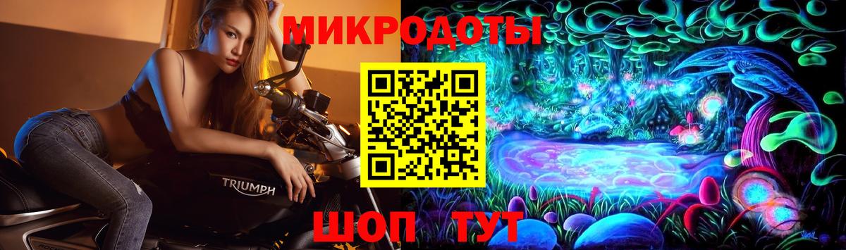 Галлюциногенные грибы мицелий  Вход с VPN  Елец  Галлюциногенные грибы Psilocybine cubensis 