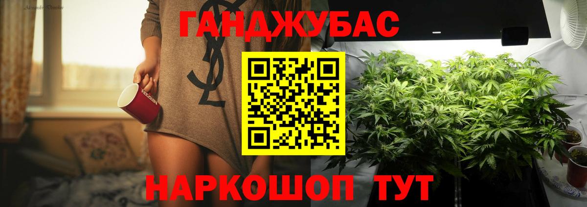 Елец  Каннабис планчик  Бошки Шишки LSD WEED  Вход с VPN  Марихуана сатива 